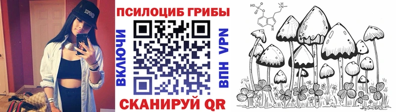 ссылка на мегу   Усть-Илимск  Галлюциногенные грибы мицелий 