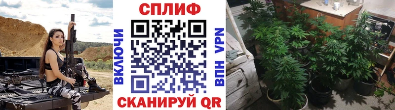 Бошки Шишки OG Kush mega как зайти Усть-Илимск купить